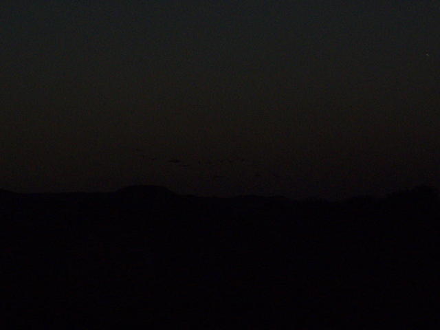 P5080249
